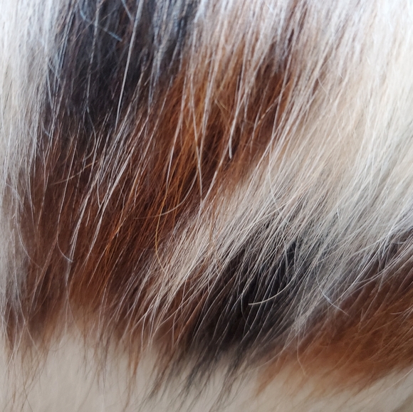 Italian leather purse - Picture 5 of 16